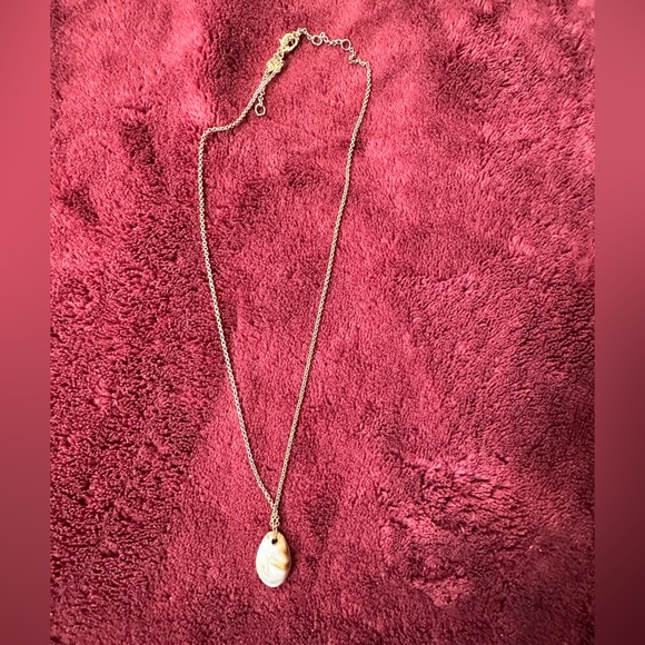 Cute shell on a dainty fine chain - Picture 2 of 4